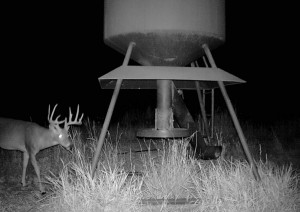 night solo game cam1 cropped       